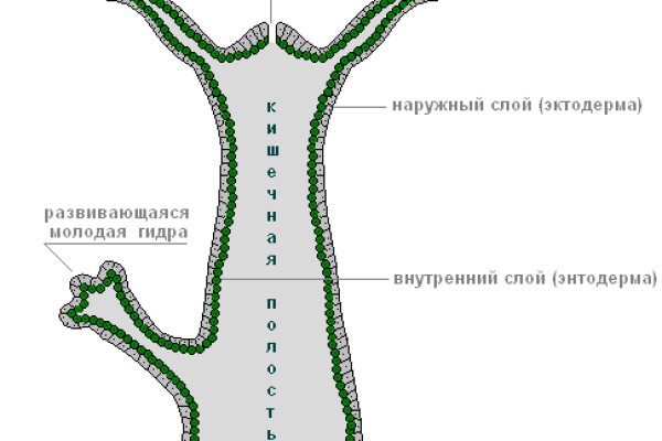 Дарк нет вход