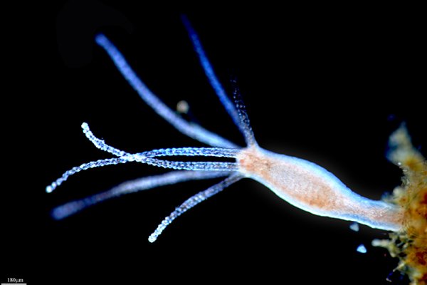 Kraken ссылки актуальные 2025 г