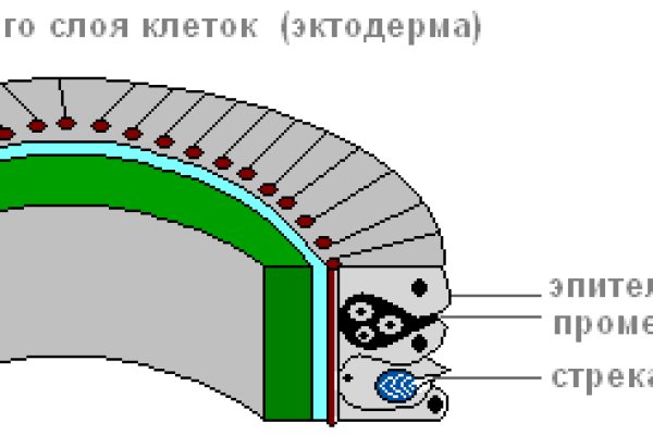 Сайт kraken в tor