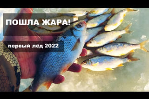 Кракен ссылка тупа германия