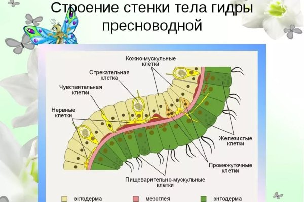 Kraken darknet sliv php