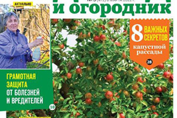 Дарк нет вход