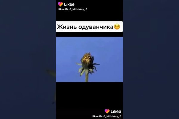 Кракен ссылка тупа германия