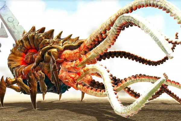 Kraken 17 at net