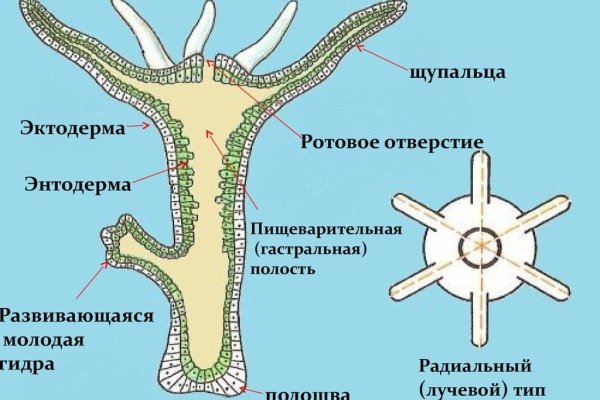 Сайт кракен тор
