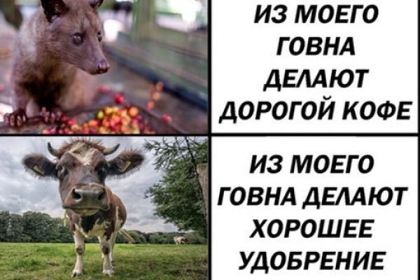 Kra40.cc Вход на сайт главная страница