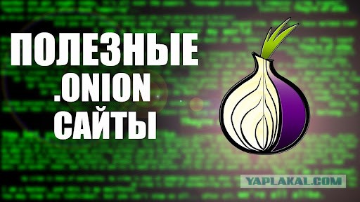Kraken что это за магазин